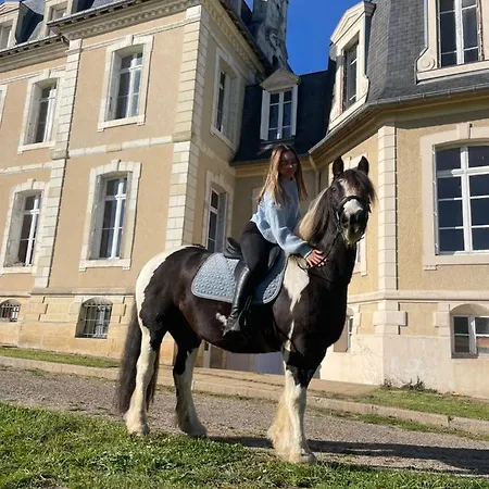 Chateau De La Bouchatte Les Roses Chazemais