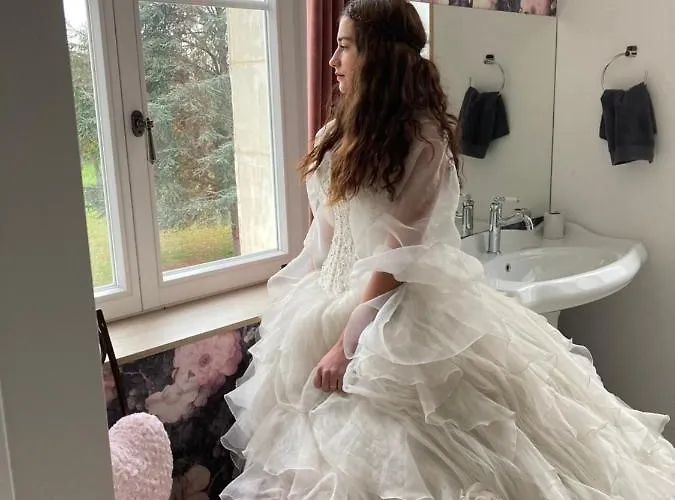 Chateau De La Bouchatte Les Roses 4* Chazemais