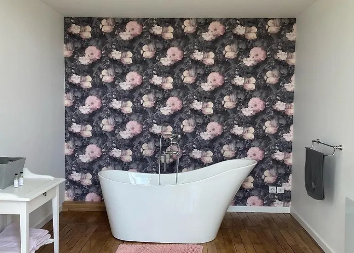 Château De La Bouchatte Les Roses Maison d'hôtes 4*