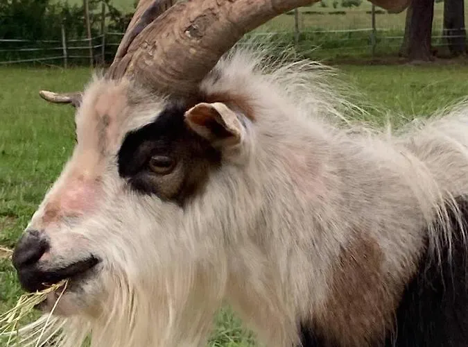 Gasthof Chateau De La Bouchatte Les Roses