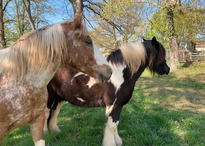 Chateau De La Bouchatte Les Roses 4* Chazemais