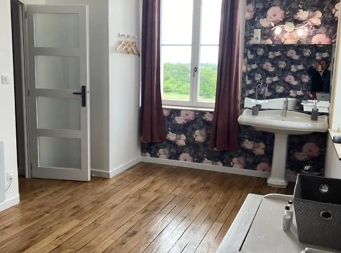 Château De La Bouchatte Les Roses Chazemais